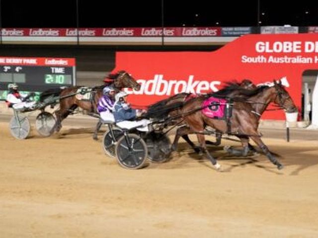 Southland bred filly retires after Oaks triumph