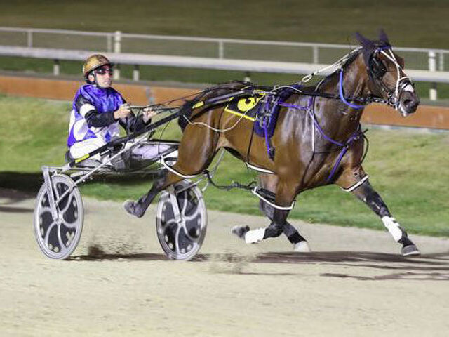 Shut Up N Dance retired after just three starts