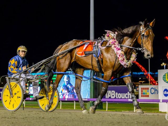 WA Group win Simply Stunning for tyro breeders
