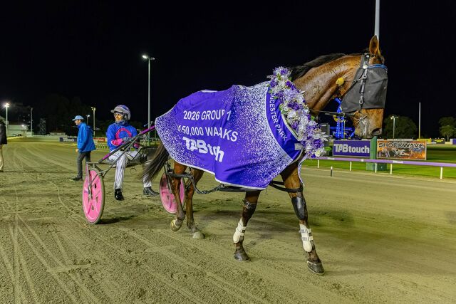 Kiwi breds dominant at Gloucester Park