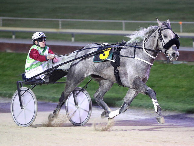 Kilkelly rides highs and lows of breeding