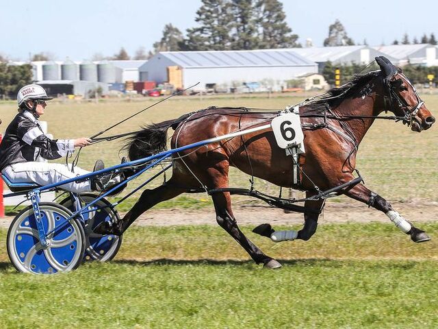 80 years breeding from the family - and still winning 