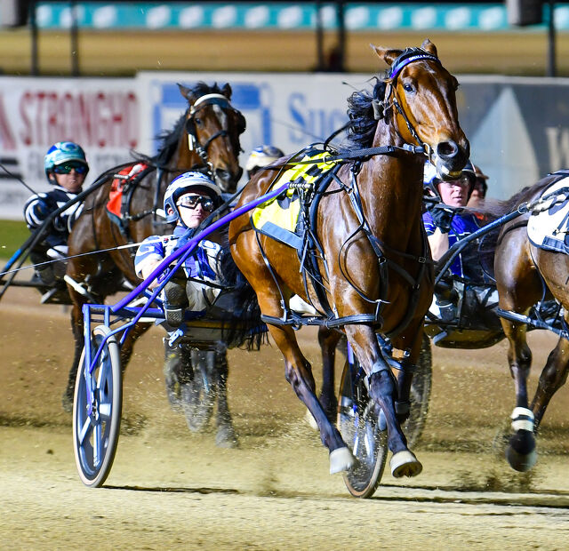 Broodmare gem Fire Dancer keeps producing for Kevin