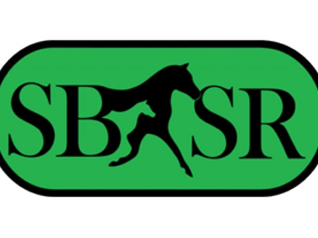 Southern Bred-Southern Reared Yearling Tour