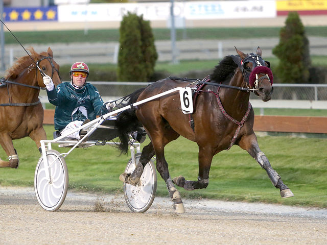 2019 Broodmare(s) of the Year