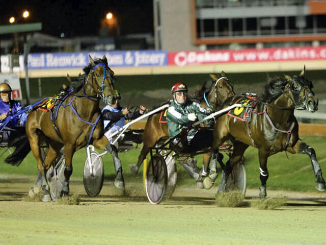 Champion Trotting Stallion joins Llowalong Farms