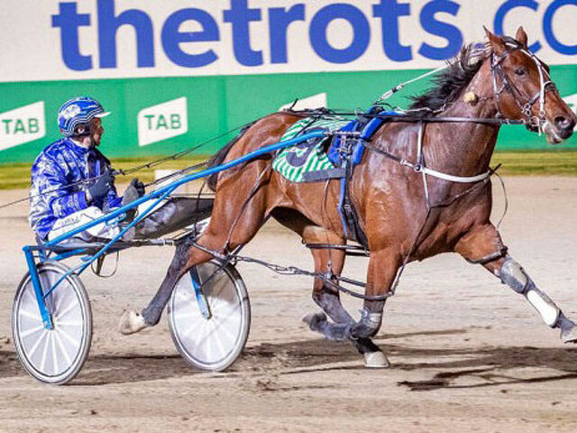 Armstrong's trans-Tasman triumphs with Spellbound