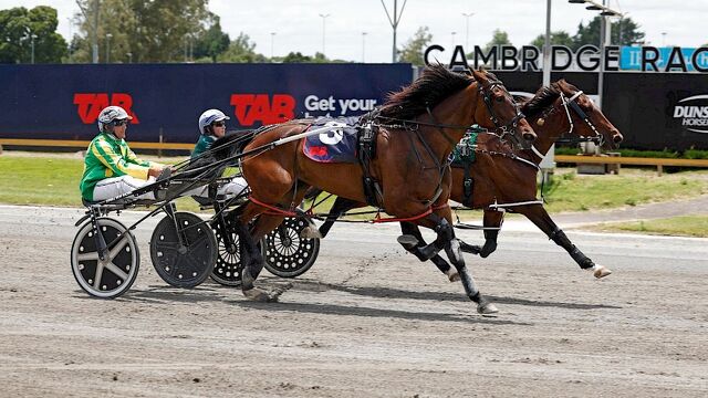 Princess Of Savoy continuing on a fine legacy