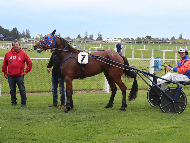 Bargain bred filly pays massive divvies for Tait 