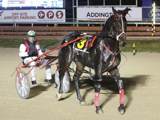 Pinelea Pair Making Mark At Stud