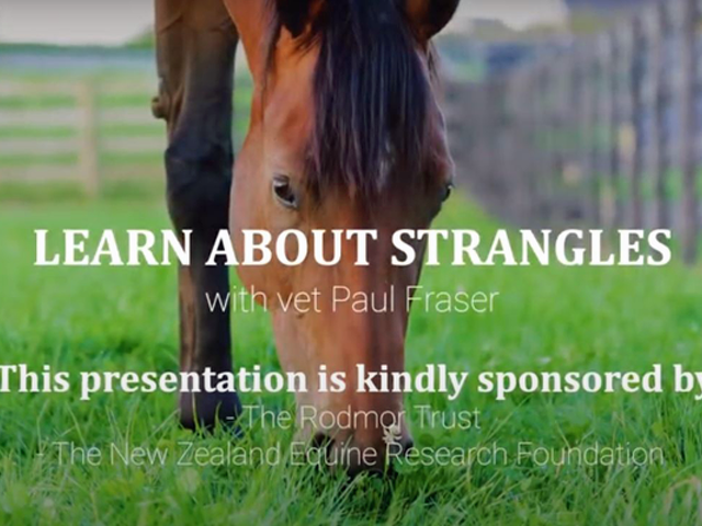 Learn about Strangles