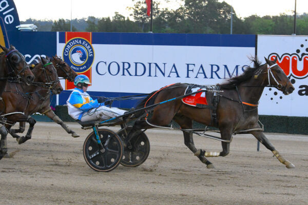 Untried mare founded a top Southland family