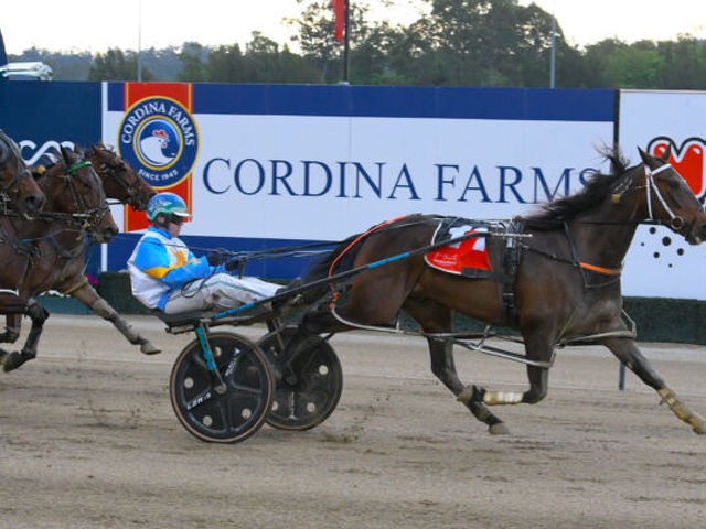 Untried mare founded a top Southland family