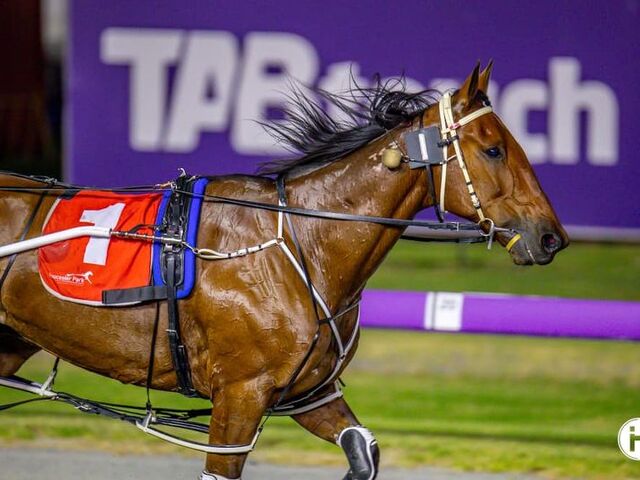 Kelvin Reed’s record as a breeder 