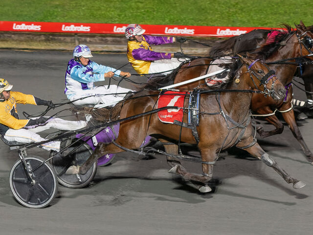 The Janitor: One of the last bred by Lester Smith