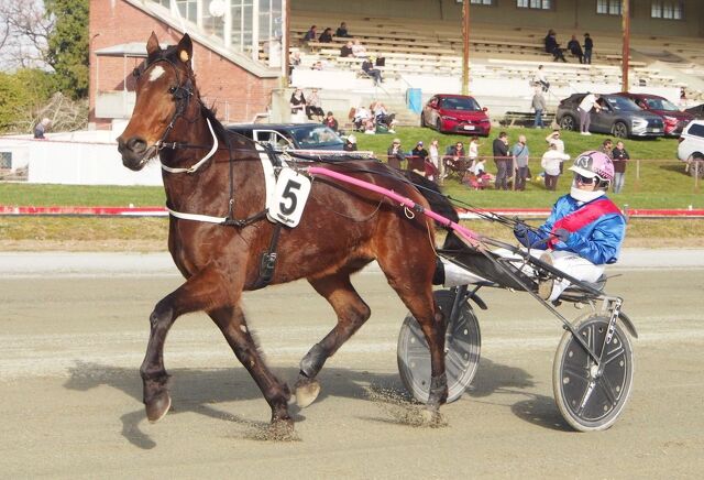 Red Carpet weekend for North Canterbury breeder