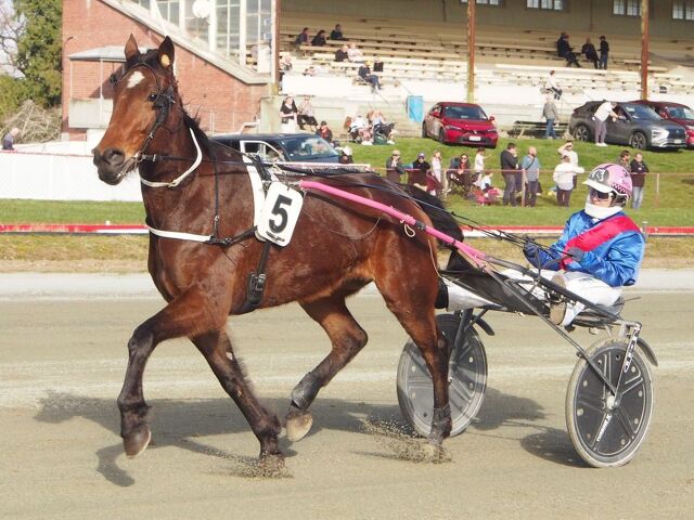 Red Carpet weekend for North Canterbury breeder