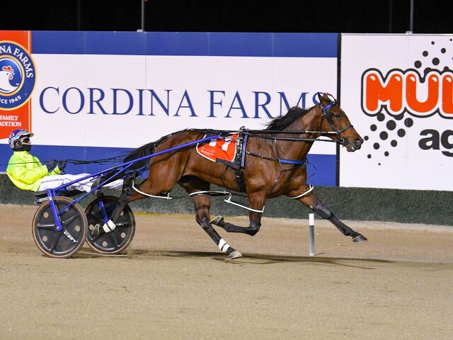 Rangiora breeder’s trans-Tasman treble 
