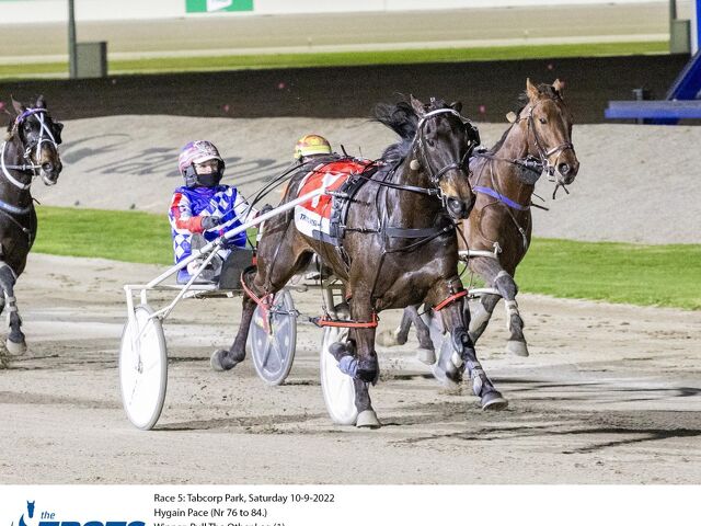 Unraced mare leaving her mark at stud