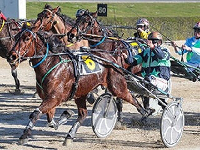 Time In A Bottle thriving on grass track training