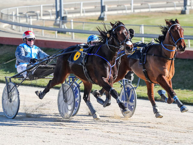 Heritage in Harness: Time Up The Hill