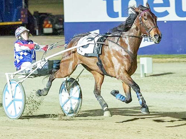 Upcoming NZ-bred trotting millionaire