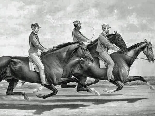 The ‘Trotting Gait’ in NZ Harness Racing ?
