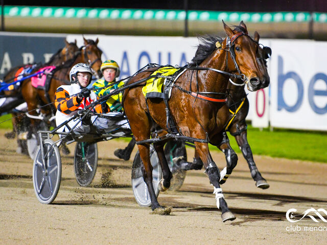 NZ mare now the Diva in NSW