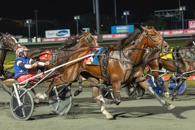 Beirne’s mare a Tremendous Sensation