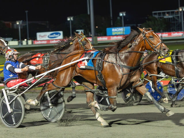 Beirne’s mare a Tremendous Sensation