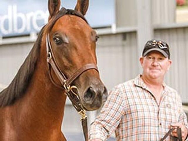 Sale topper leads emotional tribute