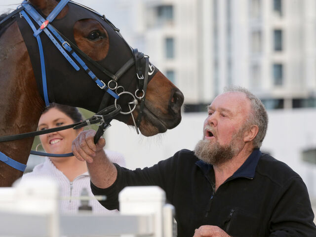 Hill-bred Tugawar is a pacing beast 