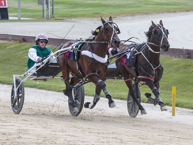 Cantabrian Breeder Lands Unique Double