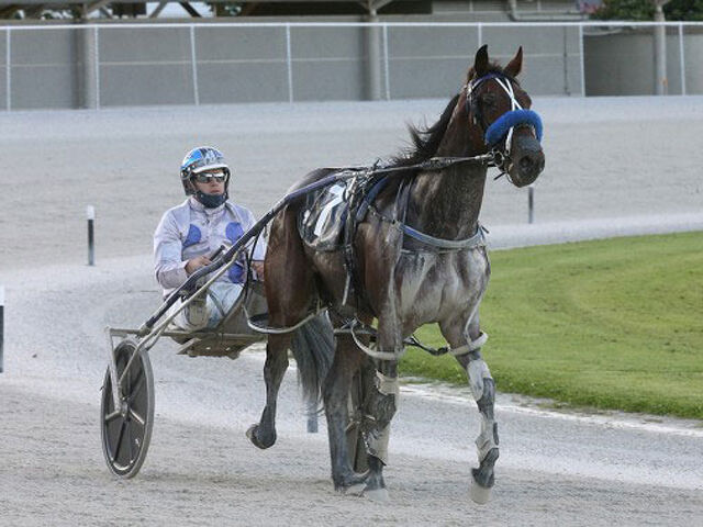 Walshes notch win and welcome foals