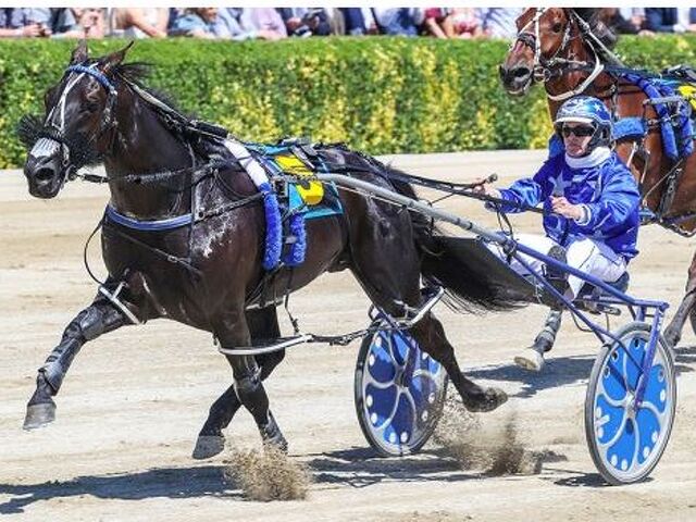 Ultimate Sniper heads to stud