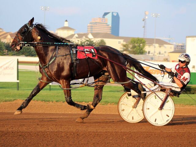 U S Captain: A Stallion with a Pedigree to Match the Best