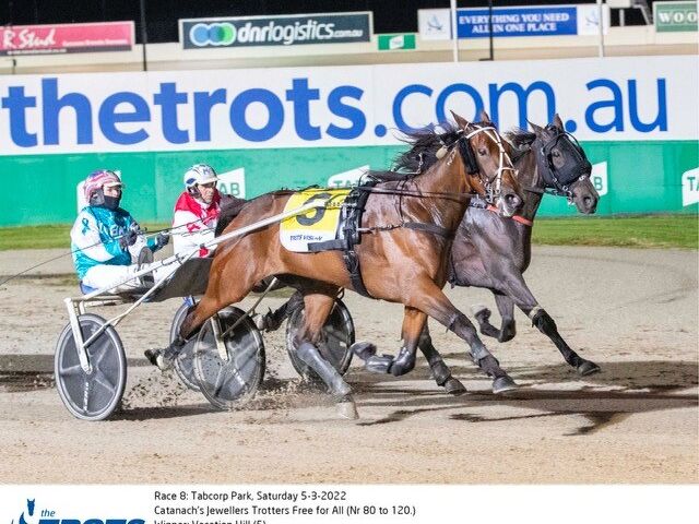 Up-and-coming trotter