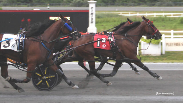 NZ Bred International Winners | 10th July