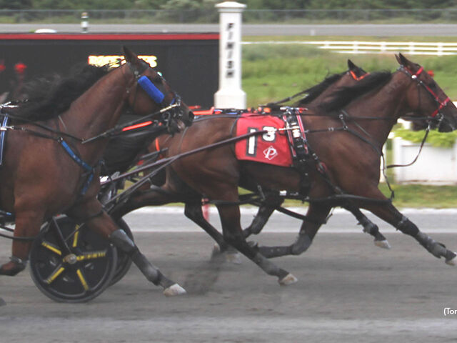 NZ Bred International Winners | 10th July