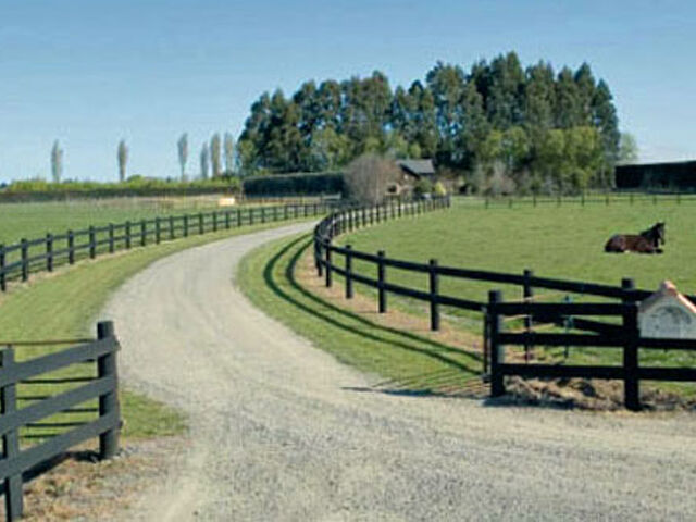 Wai Eyre Farm Looking to the Future