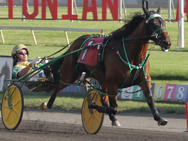 NZ Bred Weekly Winners | Australia & North America