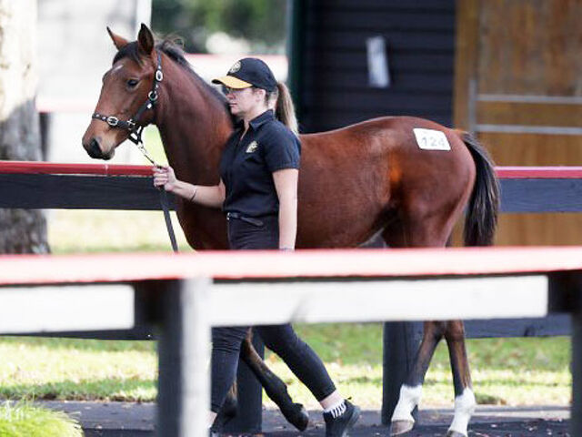 Late flurry at weanling sale