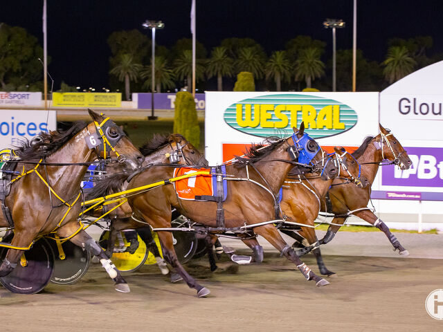 Wildwest’s WA Pacing Cup win