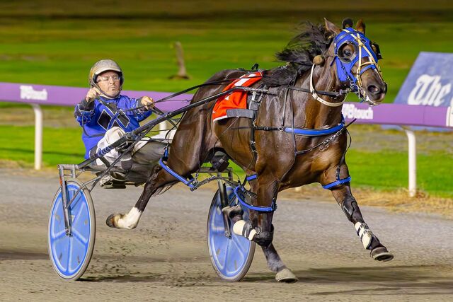 Star WA filly Wishing Belle dispels breeding theory