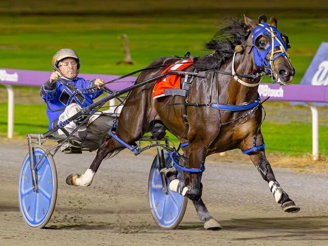 Star WA filly Wishing Belle dispels breeding theory