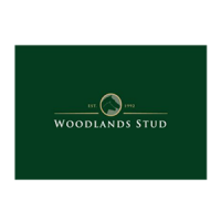 Woodlands Stud Woodlands Stud Logo