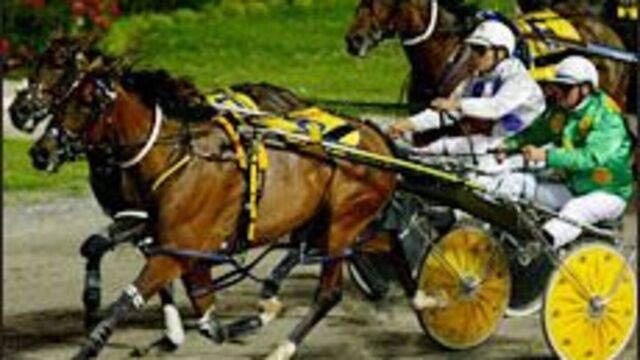Son of Tosti Girl Takes Flight in Perth