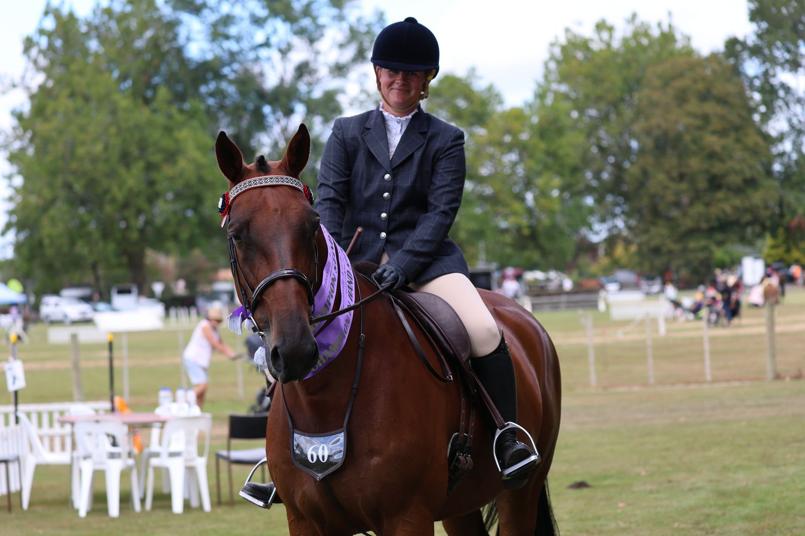 Standardbred showing