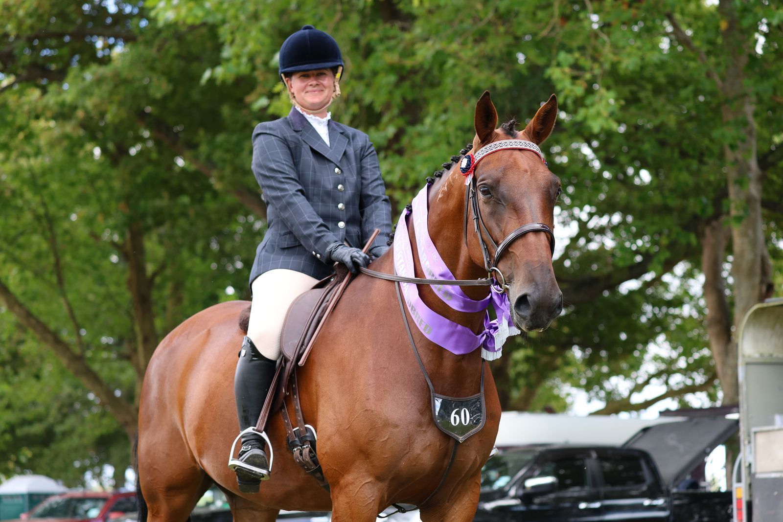 Standardbred showing