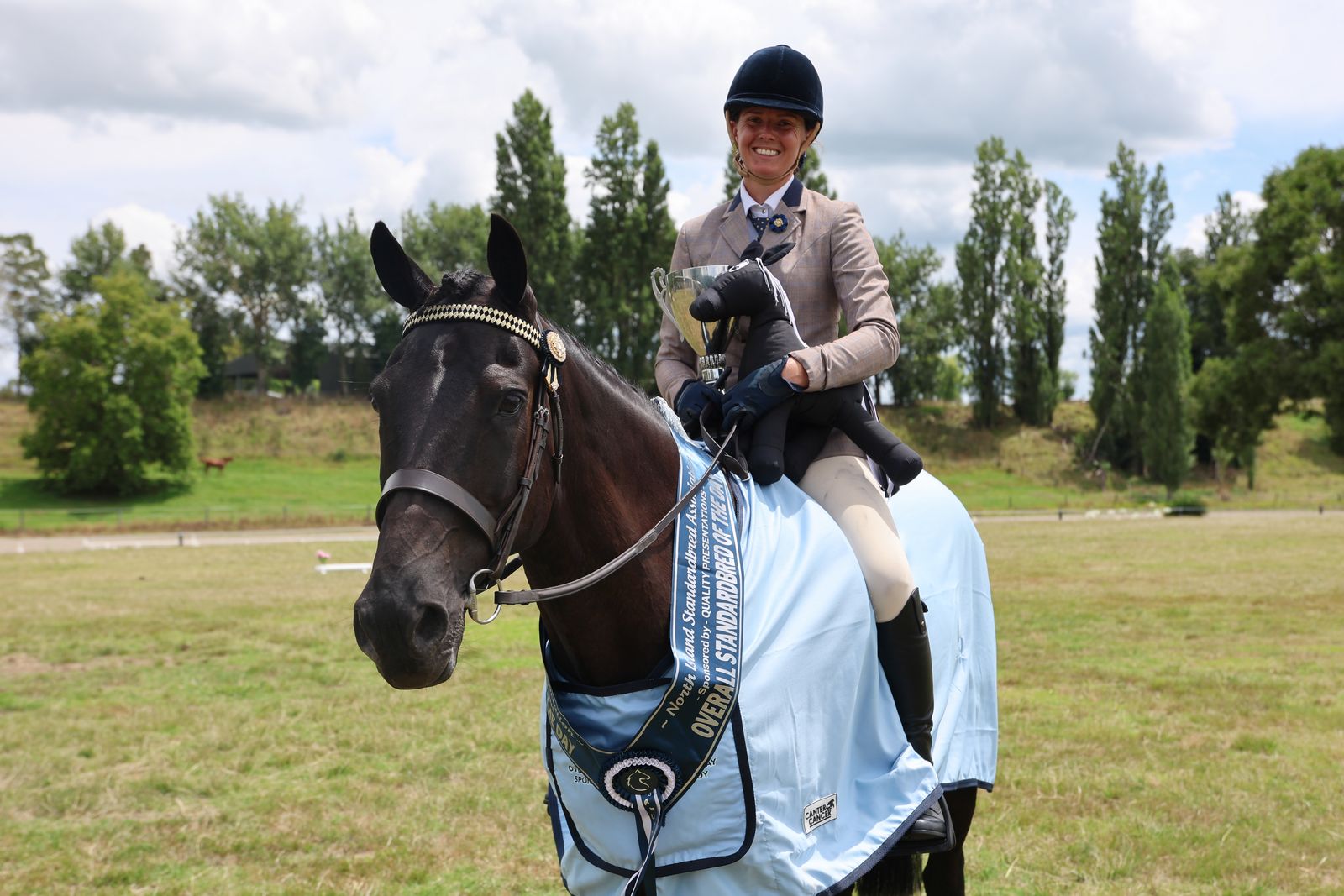 Standardbred showing